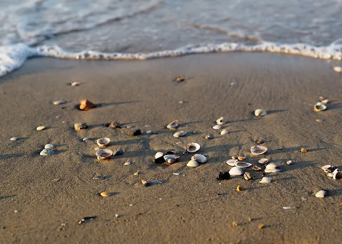 Homely With Great View And Pool Lejlighed *